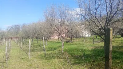 Pietrarie Vila P+1 s=164mp garaj beci teren 2000mp livada vie zona verde - foto 14