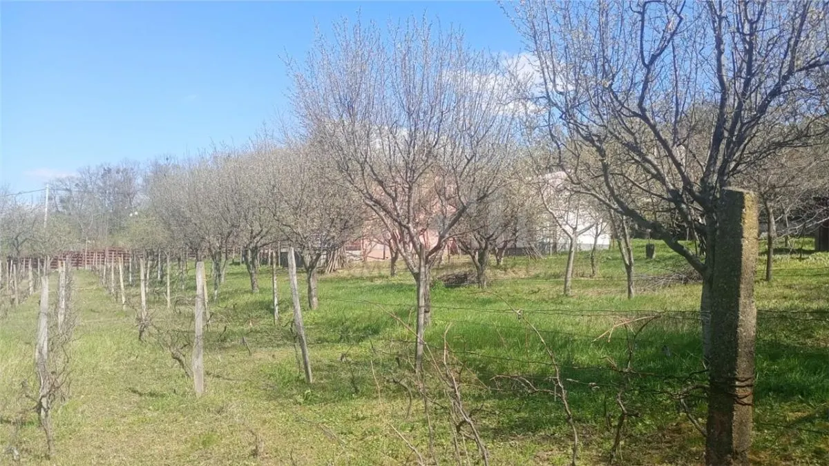 Pietrarie Vila P+1 s=164mp garaj beci teren 2000mp livada vie zona verde - foto 14