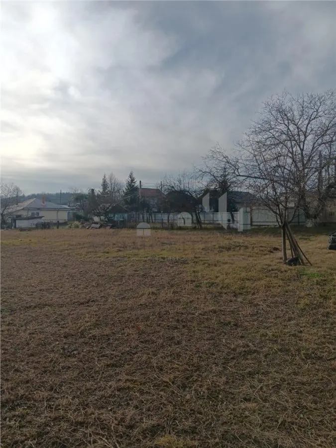 Teren 3500mp Paun Bucium la asfalt cu toate utilitatile - foto 5