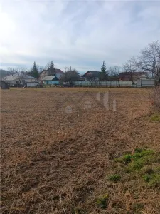 Teren 3500mp Paun Bucium la asfalt cu toate utilitatile - foto 7