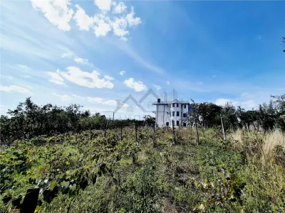 Casa de vanzare cu garaj, 405 mp utili-1500 mp teren - Rediu