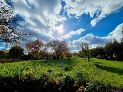 Teren intravilan 8772 Chicirea-Tomesti - foto 3