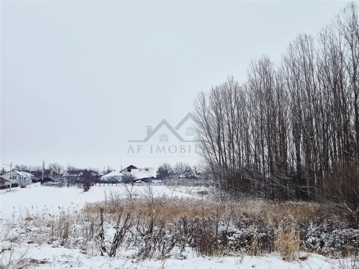 Terrain à Vendre à Dorohoi, Zone Nord - foto 3