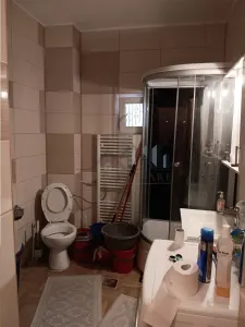 Tomesti Vila P+E SU=236mp 5 dormitoare living doua bai garaj TEREN 1347mp amenajat - foto 8