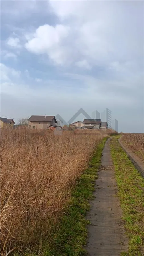 Aroneanu str Viisoarei TEREN 2 loturi x 650 mp. Intravilan cu utilitati zona construibila numai de case - foto 8
