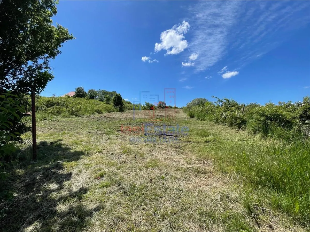 Ocazie! Visan TEREN 1616mp intravilan lot pt constructie casa - foto 1