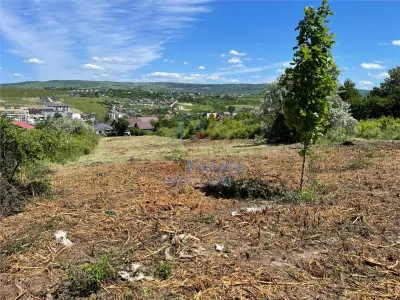 Ocazie! Visan TEREN 1616mp intravilan lot pt constructie casa - foto 2