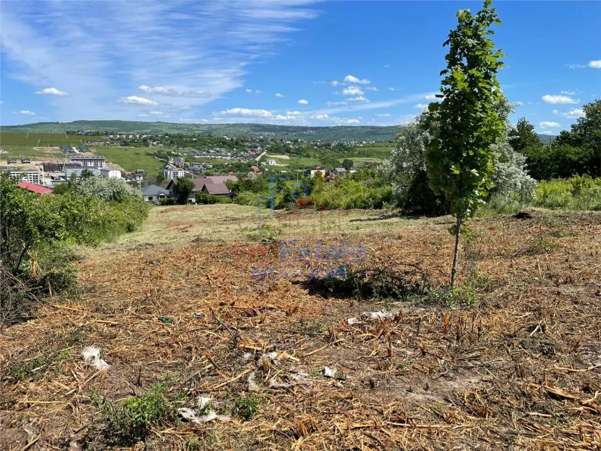 Ocazie! Visan TEREN 1616mp intravilan lot pt constructie casa - foto 2