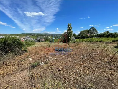 Ocazie! Visan TEREN 1616mp intravilan lot pt constructie casa - foto 3