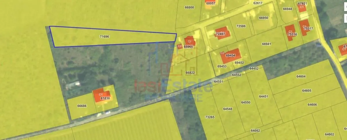Ocazie! Visan TEREN 1616mp intravilan lot pt constructie casa - foto 4