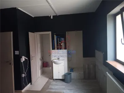 Inchiriere Spatiu Comercial zona Visoianu - foto 8