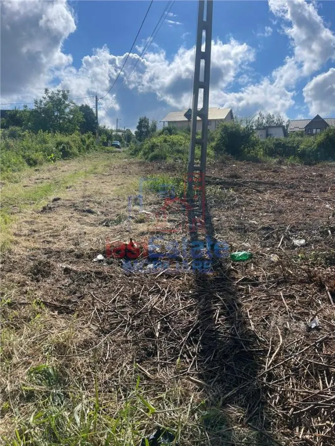 Ocazie! Visani str Castelul Grecilor TEREN 707mp intravilan toate utilitatile - foto 8