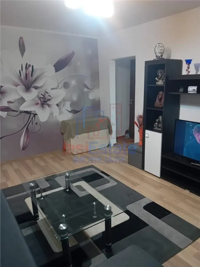 Apartament 3 camere zona Alexandru cel Bun - foto 4
