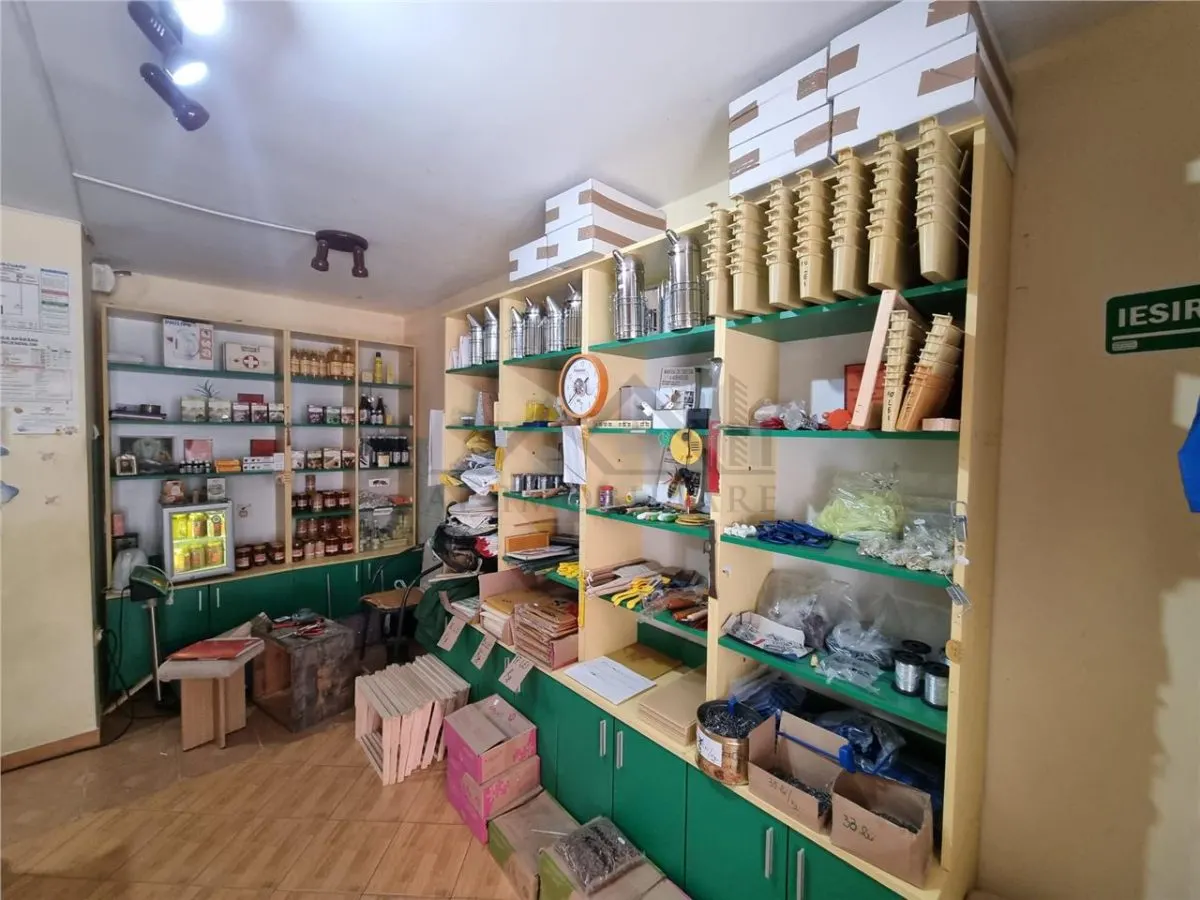 Spatiu comercial 20 mp in Nicolina - foto 2