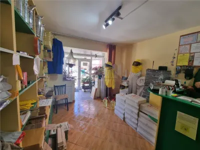 Spatiu comercial 20 mp in Nicolina - foto 3