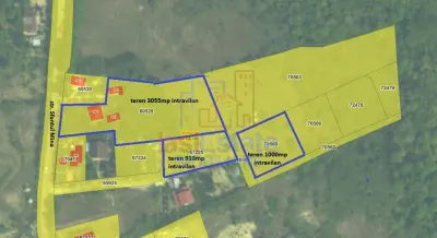 Barnova Cercu TEREN 910mp intravilan cu utilitati si panorama frumoasa - foto 7