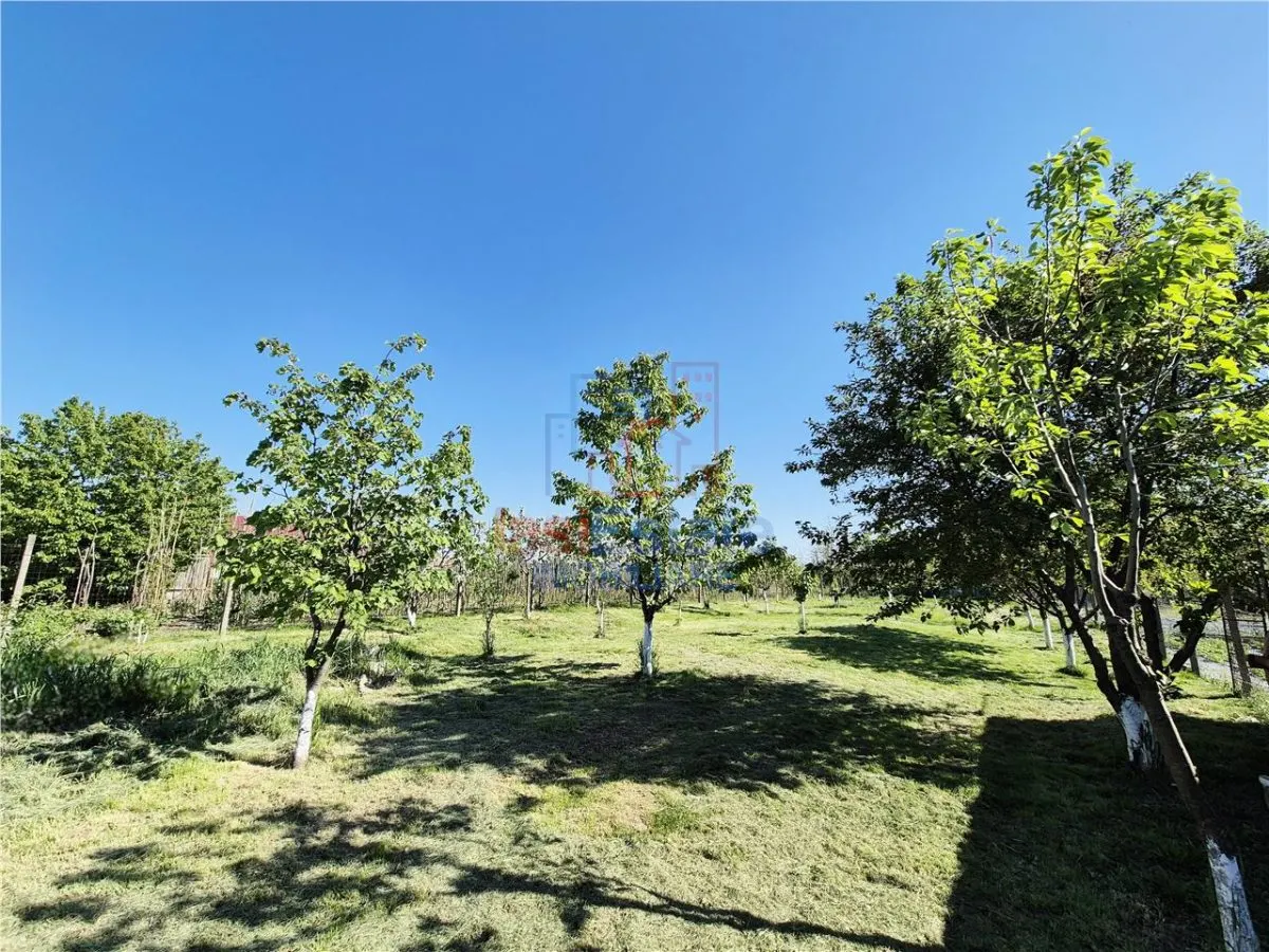 Casa individuala si spatioasa cu 5 camere - teren 1166 mp - foto 7