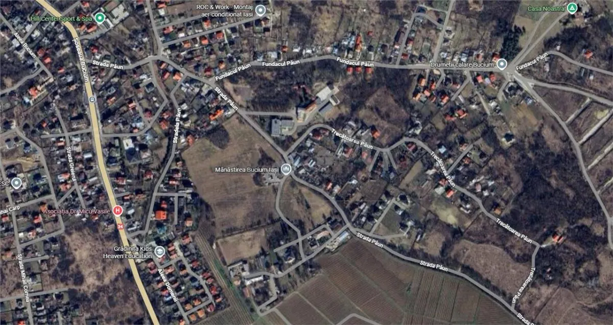 UAT Iasi - Trecatoarea Paun - ideal pentru casa - Bucium 750mp - foto 4