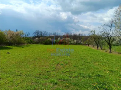 Badeni central com Scobinti Iasi Teren 3000mp parcelat toate utilitatile - foto 3