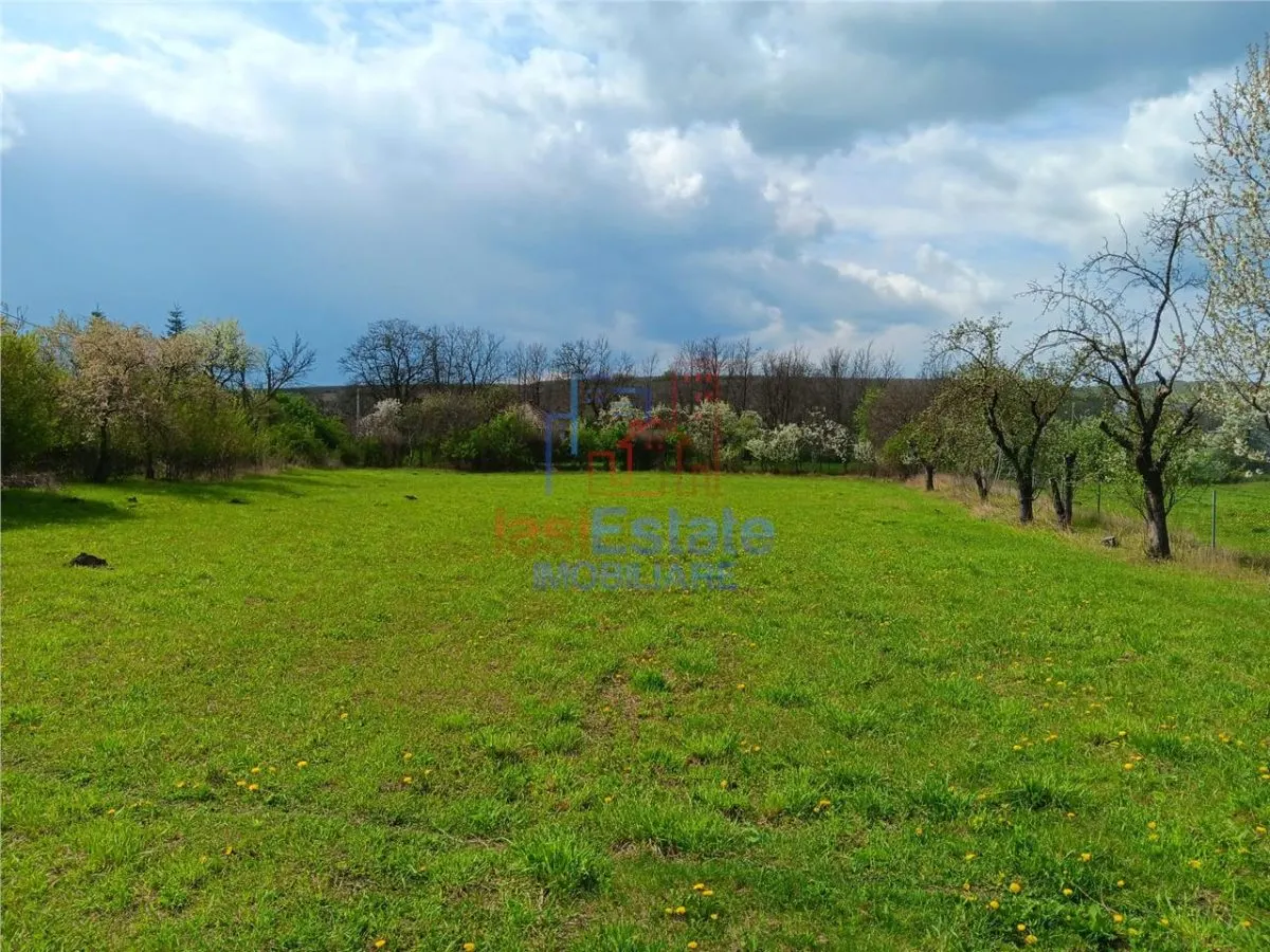 Badeni central com Scobinti Iasi Teren 3000mp parcelat toate utilitatile - foto 3
