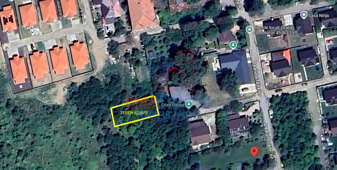 Dealul Craitelor Visan - Barnova TEREN 828mp intravilan loc de casa - foto 1