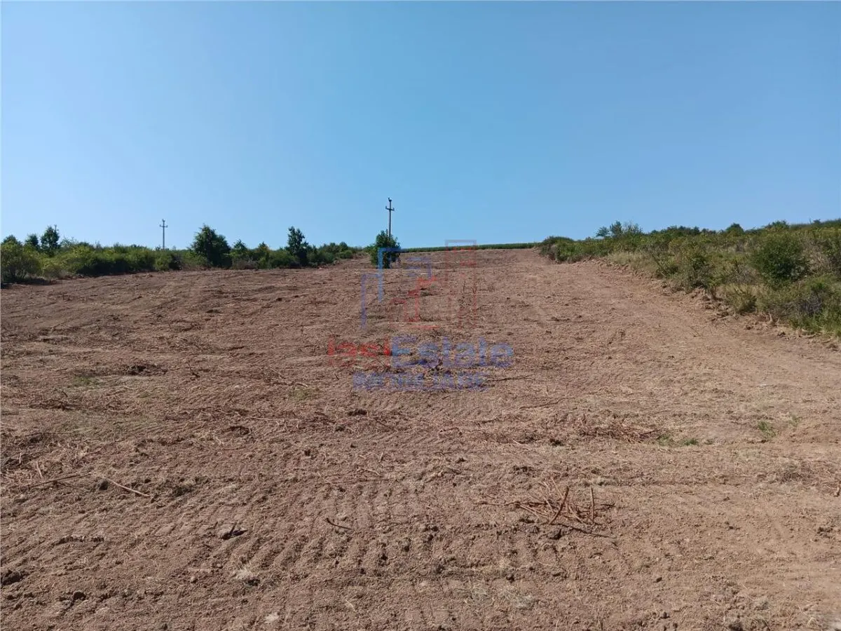 Ocazie! Sorogari TEREN 10000mp intravilan PUZ realizat si toate utilitatile - foto 11