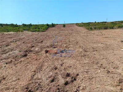 Ocazie! Sorogari TEREN 10000mp intravilan PUZ realizat si toate utilitatile - foto 4