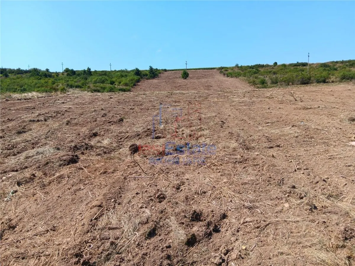 Ocazie! Sorogari TEREN 10000mp intravilan PUZ realizat si toate utilitatile - foto 4
