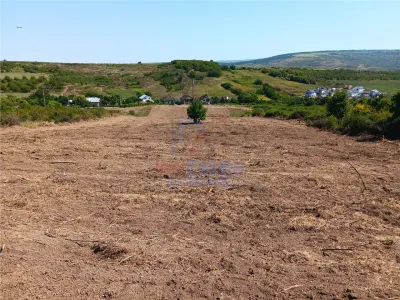 Ocazie! Sorogari TEREN 10000mp intravilan PUZ realizat si toate utilitatile - foto 5