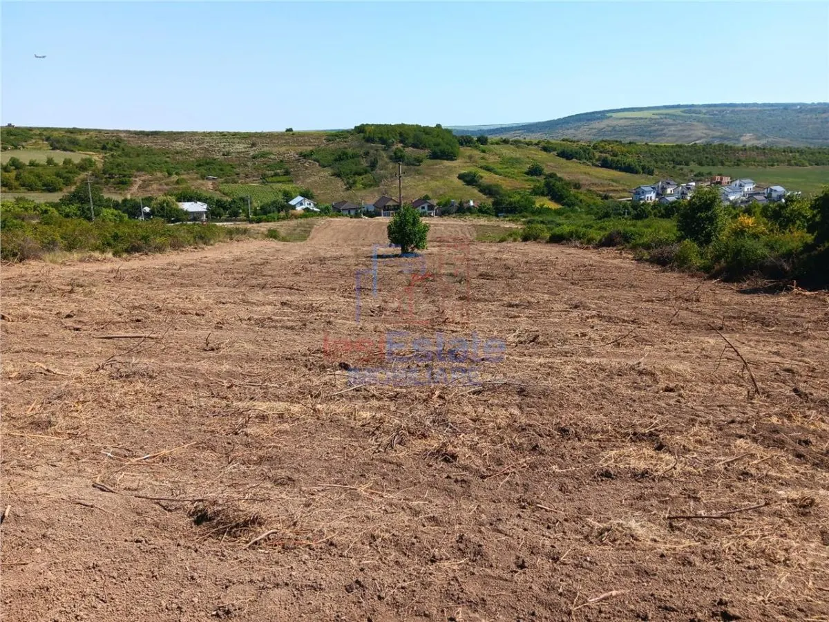 Ocazie! Sorogari TEREN 10000mp intravilan PUZ realizat si toate utilitatile - foto 5