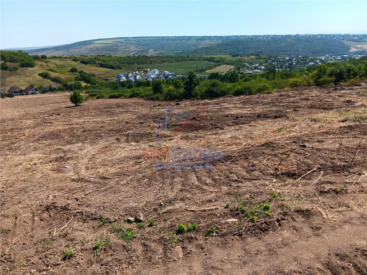 Ocazie! Sorogari TEREN 10000mp intravilan PUZ realizat si toate utilitatile - foto 6