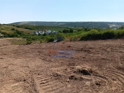 Ocazie! Sorogari TEREN 10000mp intravilan PUZ realizat si toate utilitatile - foto 7
