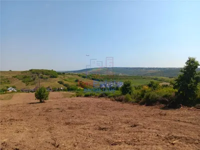Ocazie! Sorogari TEREN 10000mp intravilan PUZ realizat si toate utilitatile - foto 8