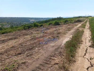 Ocazie! Sorogari TEREN 10000mp intravilan PUZ realizat si toate utilitatile - foto 10