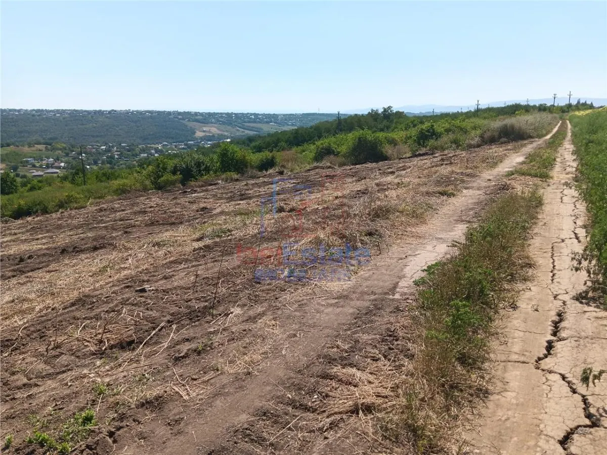 Ocazie! Sorogari TEREN 10000mp intravilan PUZ realizat si toate utilitatile - foto 10