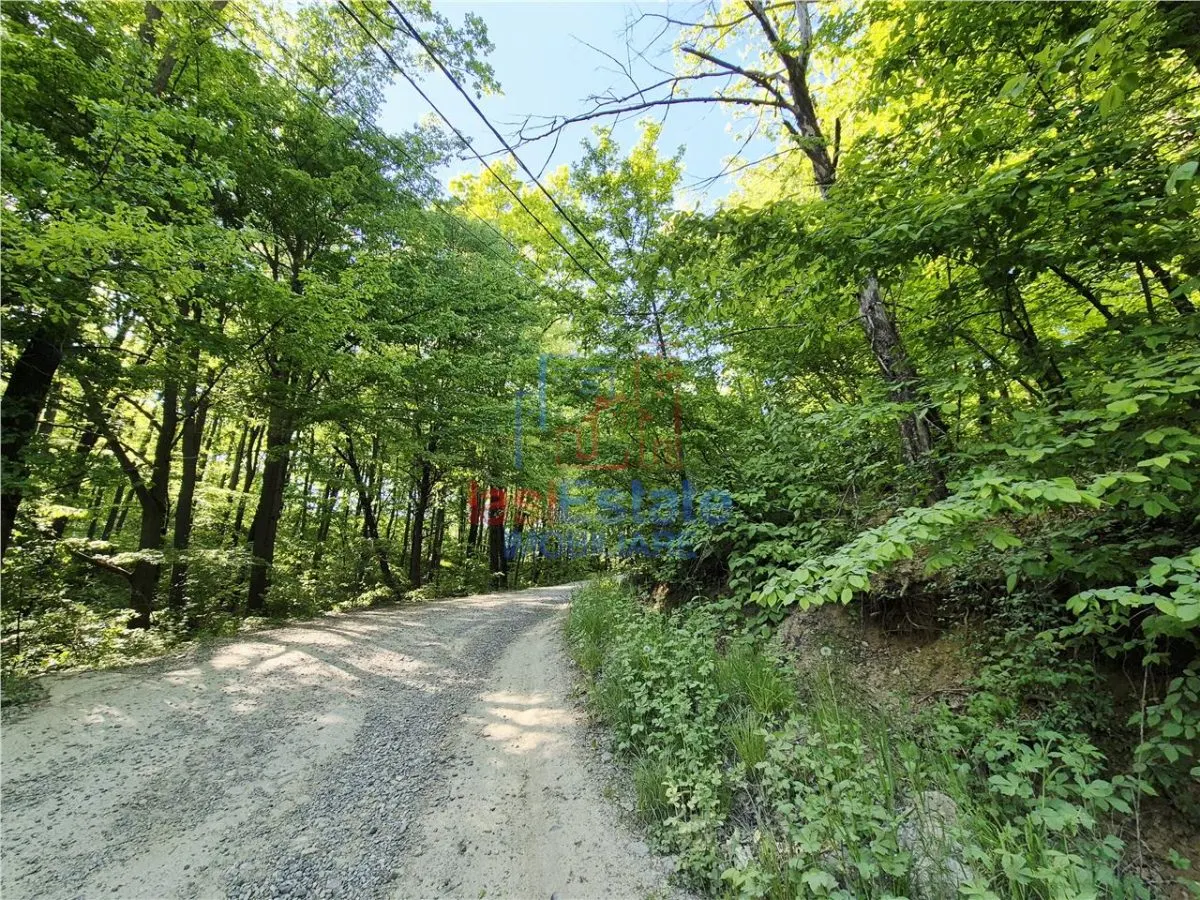 Teren langa padure, liniste, natura si priveliste frumoasa - foto 3