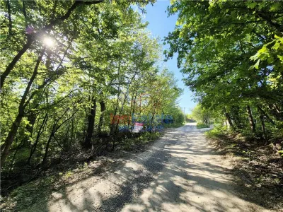 Teren langa padure, liniste, natura si priveliste frumoasa - foto 5
