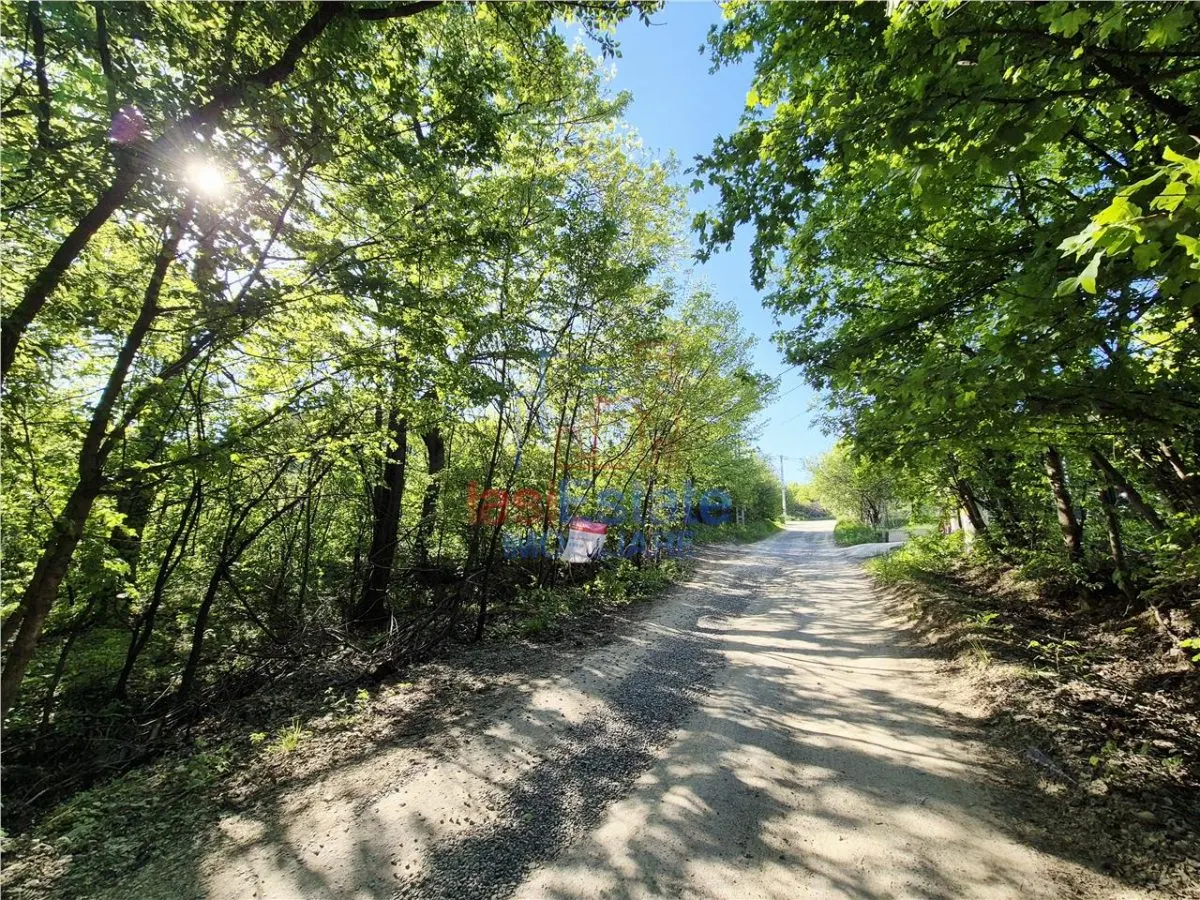 Teren langa padure, liniste, natura si priveliste frumoasa - foto 5