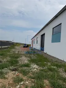 Hala productie - depozitare zona Letcani - foto 12