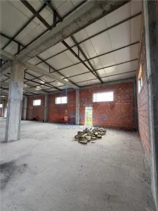Hala productie - depozitare zona Letcani - foto 17
