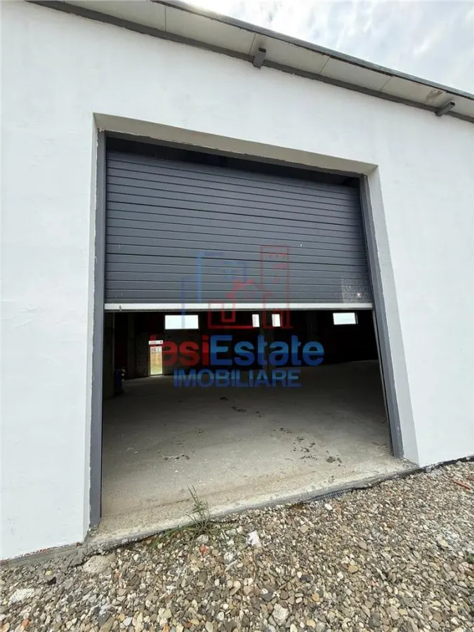 Hala productie - depozitare zona Letcani - foto 3