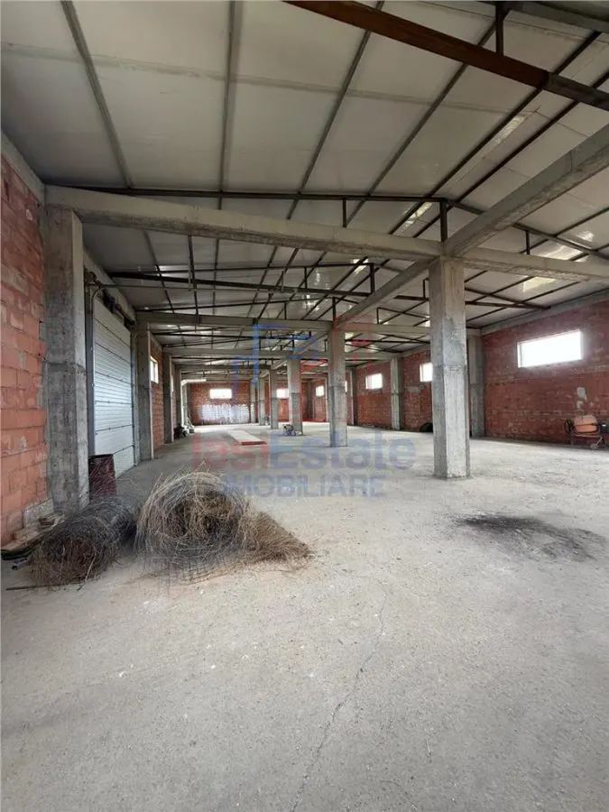 Hala productie - depozitare zona Letcani - foto 7