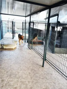 Casa individuala, utilata-mobilata cu garaj - foto 14