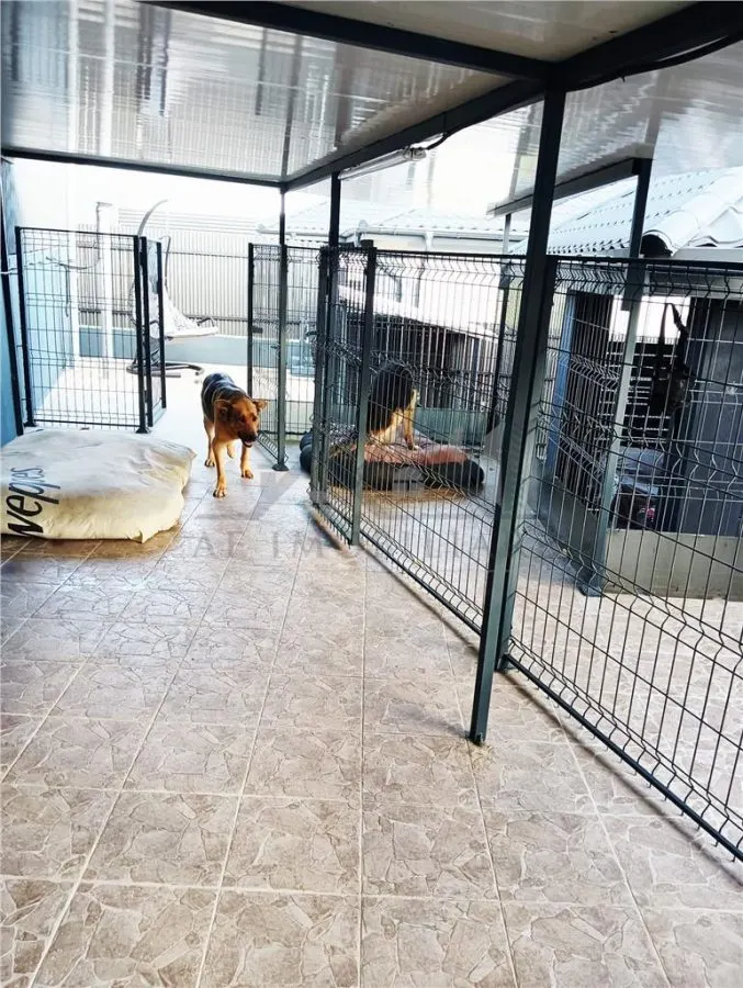 Casa individuala, utilata-mobilata cu garaj - foto 14