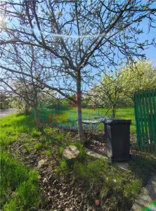 UAT Iasi - Trecatoarea Paun - Teren intravilan Bucium 750mp - foto 2
