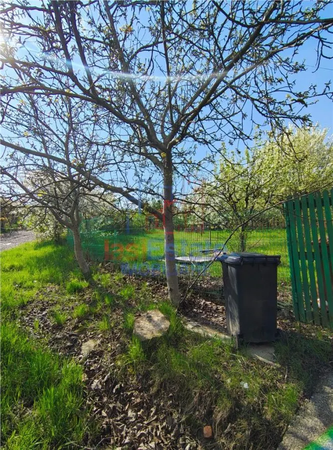 UAT Iasi - Trecatoarea Paun - Teren intravilan Bucium 750mp - foto 2