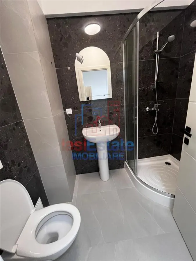 Apartament cu 1 camera de inchiriat Visoianu - foto 5