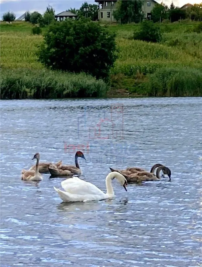 Teren intravilan 771 mp in Valea Lunga-Holboca - foto 7