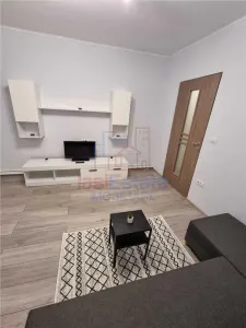 Garsonieră 24 mp, mobilată și utilată, zona Nicolina – Parter - foto 2