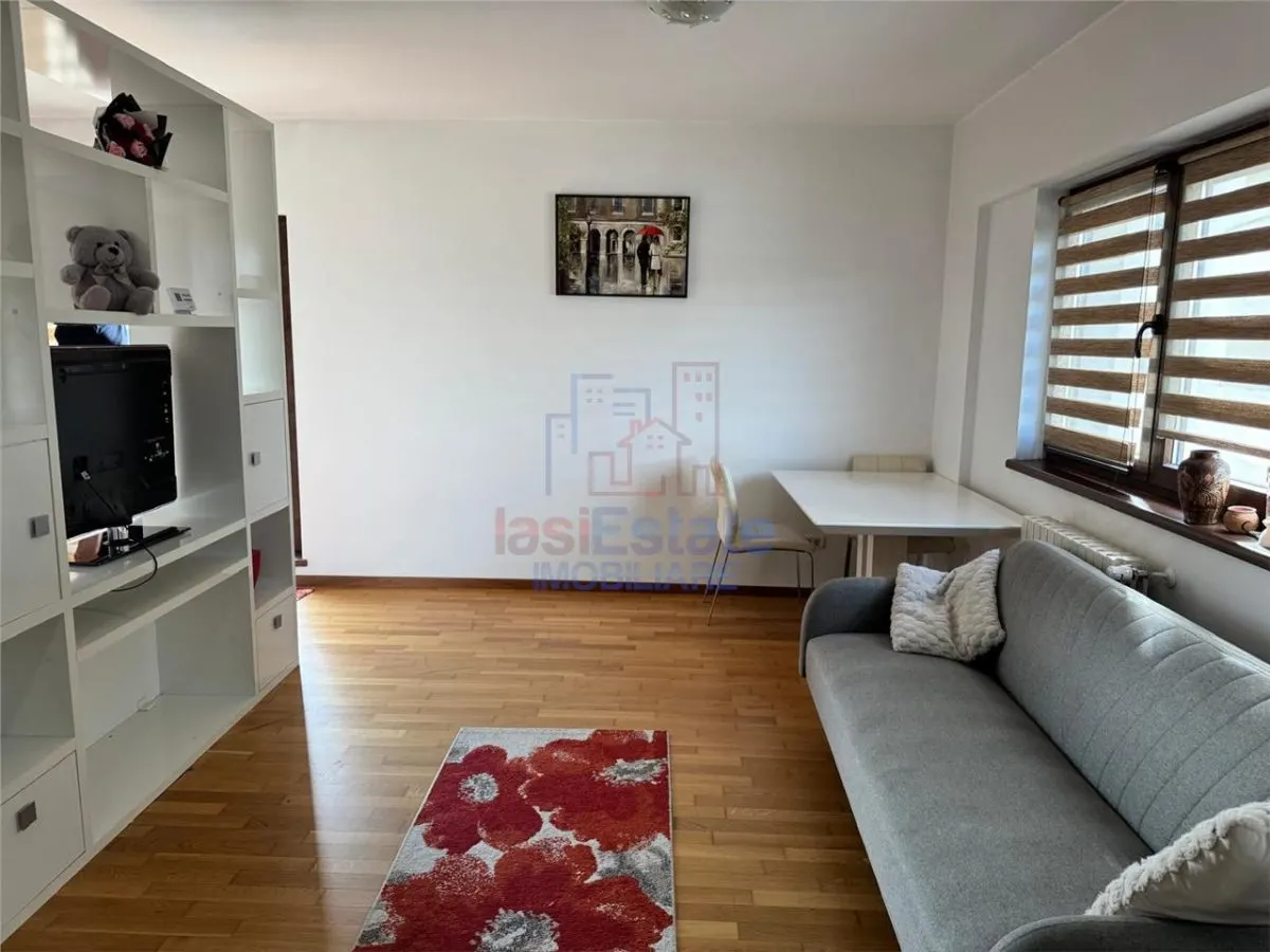 Apartament 1 Camera Podul de Fier - IasiCon - foto 1
